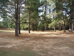 Dalys Clearing Campground, Belanglo State Forest