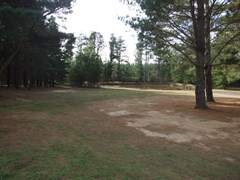 Dalys Clearing Campground, Belanglo State Forest