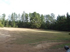 Dalys Clearing Campground, Belanglo State Forest