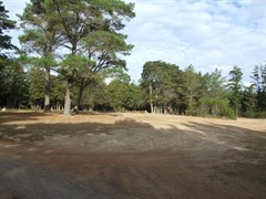 Dalys Clearing Campground, Belanglo State Forest