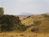 Mount Newman ~ Kalgan Creek Gorge