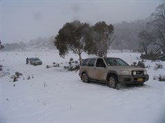 Snowy Plains