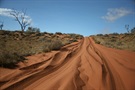 Canning Stock Route 2009