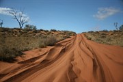 Canning Stock Route 2009