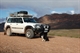 Wild Dog in Flinders