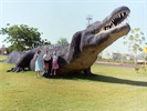 Now THIS is a CROC.....