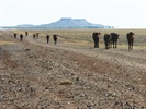 Long Way for a Cool Drink, Diamantina River Road