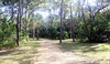 Road into Campsite