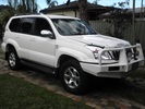 The Beast