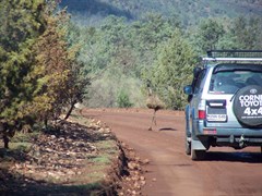 Old Prado RIP Flinders Ranges