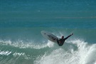 I surf as well