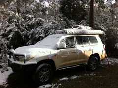 Tassie Summer