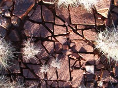 Pilbara Rocks