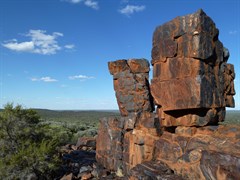 Mt Forrest Conservation Reserve