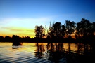 Yellow waters