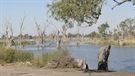 Camp on th Murray