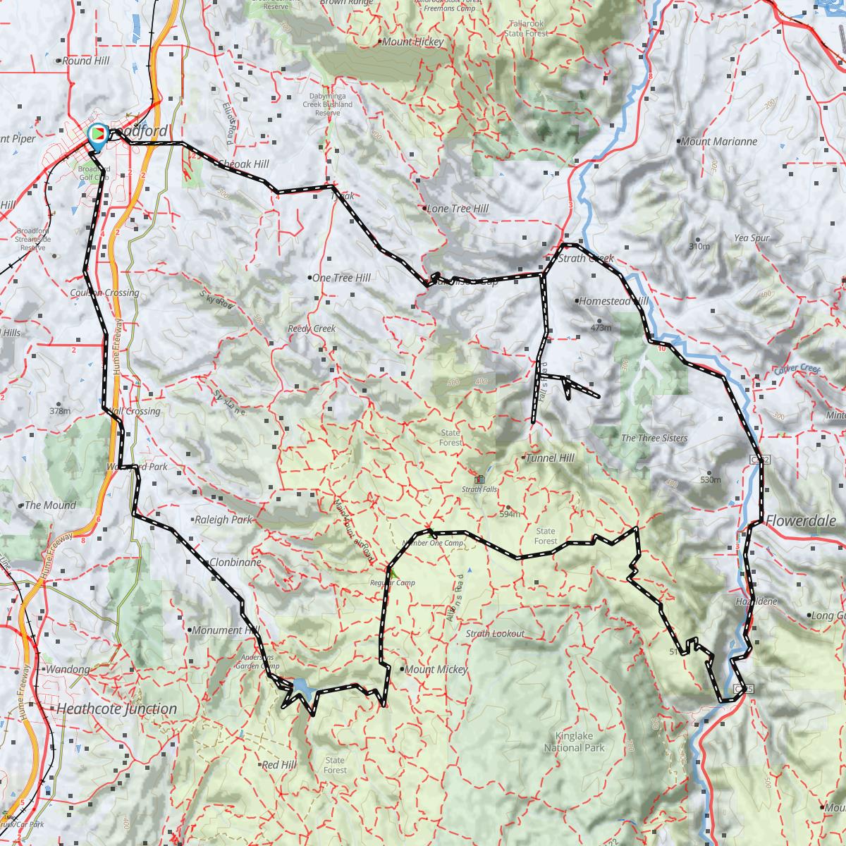 Mt Disappointment State Forest VIC